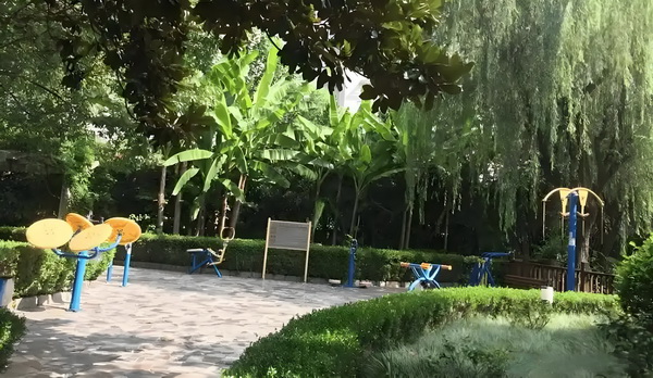 随身之星光摇曳